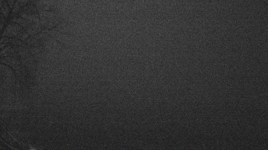 Weather camera view of Forest Lawn Beach.