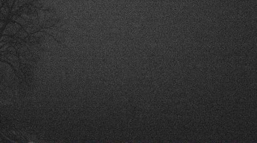 Weather camera view of Forest Lawn Beach.