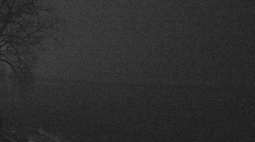 Weather camera view of Forest Lawn Beach.