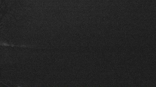 Weather camera view of Forest Lawn Beach.