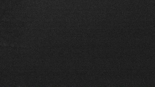 Weather camera view of Forest Lawn Beach.