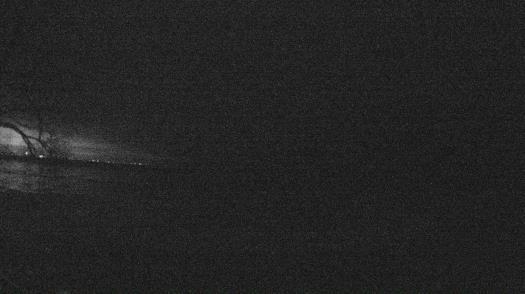 Weather camera view of Forest Lawn Beach.