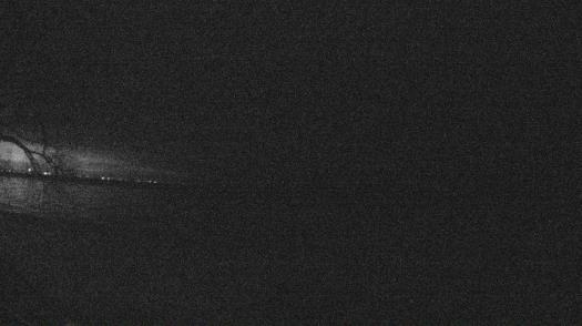 Weather camera view of Forest Lawn Beach.