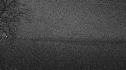 Weather camera view of Forest Lawn Beach.