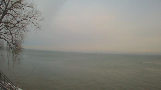 Weather camera view of Forest Lawn Beach.