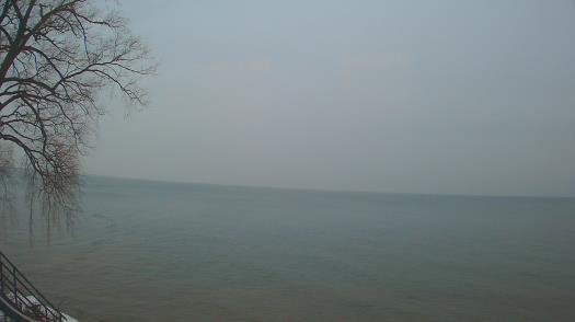 Weather camera view of Forest Lawn Beach.