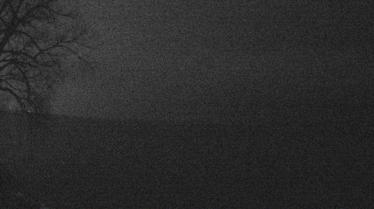 Weather camera view of Forest Lawn Beach.