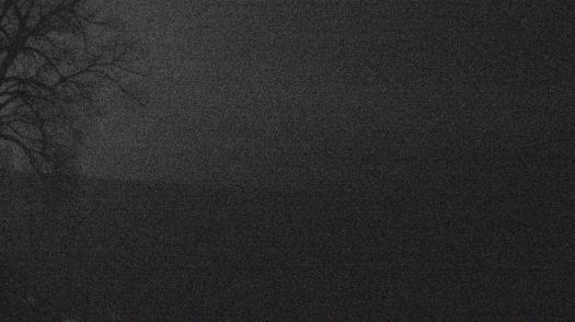 Weather camera view of Forest Lawn Beach.