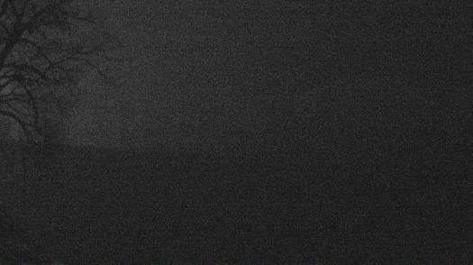 Weather camera view of Forest Lawn Beach.