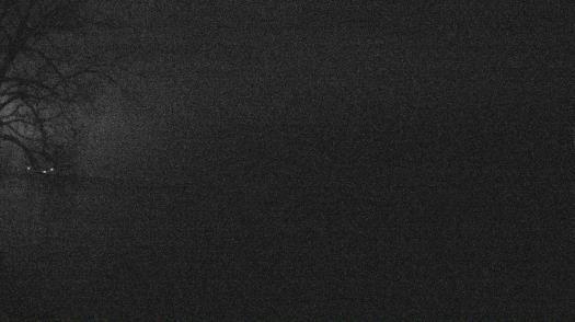 Weather camera view of Forest Lawn Beach.