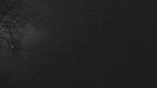 Weather camera view of Forest Lawn Beach.