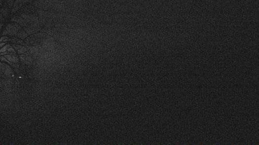 Weather camera view of Forest Lawn Beach.