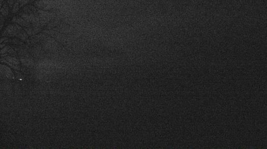 Weather camera view of Forest Lawn Beach.