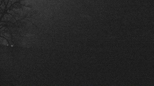 Weather camera view of Forest Lawn Beach.