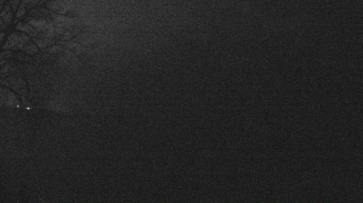 Weather camera view of Forest Lawn Beach.