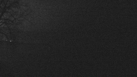 Weather camera view of Forest Lawn Beach.