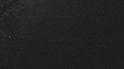 Weather camera view of Forest Lawn Beach.