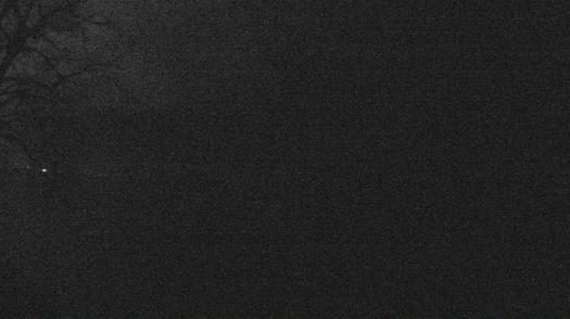 Weather camera view of Forest Lawn Beach.