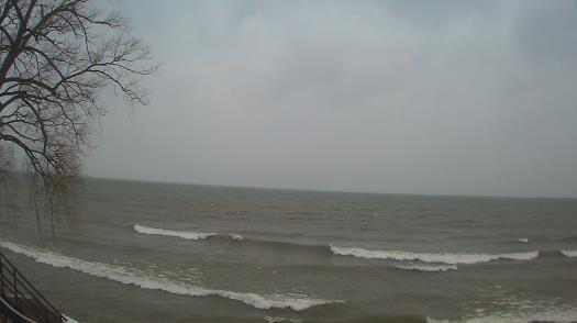 Weather camera view of Forest Lawn Beach.