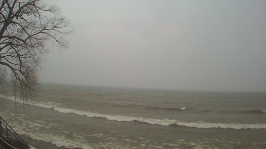 Weather camera view of Forest Lawn Beach.