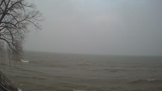 Weather camera view of Forest Lawn Beach.