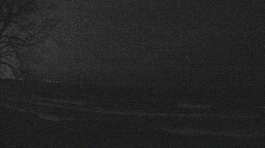 Weather camera view of Forest Lawn Beach.