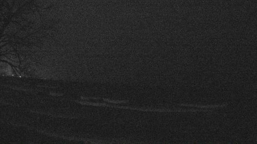 Weather camera view of Forest Lawn Beach.