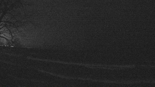 Weather camera view of Forest Lawn Beach.