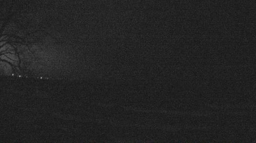 Weather camera view of Forest Lawn Beach.