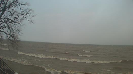 Weather camera view of Forest Lawn Beach.