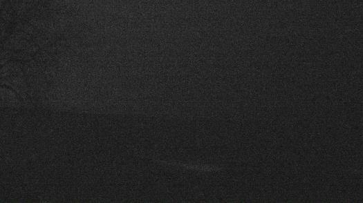 Weather camera view of Forest Lawn Beach.