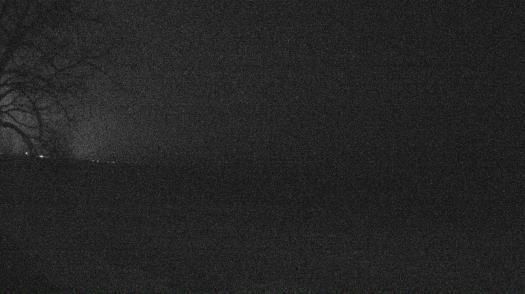 Weather camera view of Forest Lawn Beach.