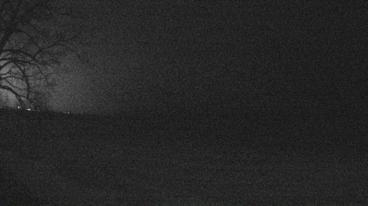 Weather camera view of Forest Lawn Beach.