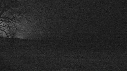 Weather camera view of Forest Lawn Beach.