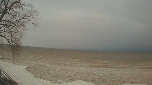 Weather camera view of Forest Lawn Beach.