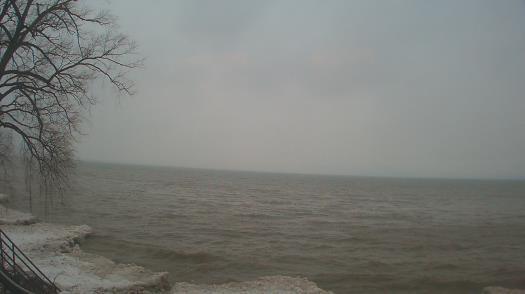 Weather camera view of Forest Lawn Beach.