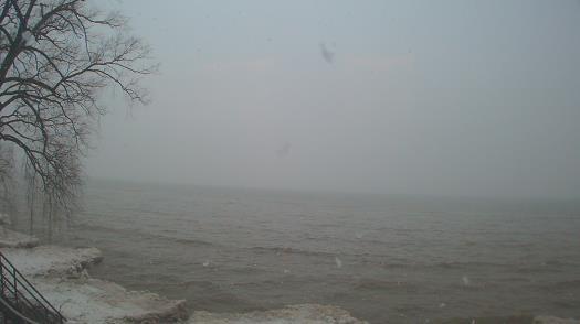 Weather camera view of Forest Lawn Beach.