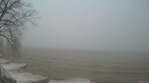 Weather camera view of Forest Lawn Beach.