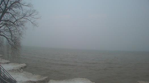 Weather camera view of Forest Lawn Beach.