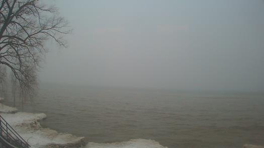 Weather camera view of Forest Lawn Beach.