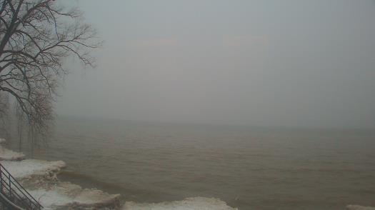 Weather camera view of Forest Lawn Beach.