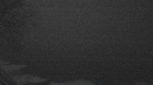 Weather camera view of Forest Lawn Beach.