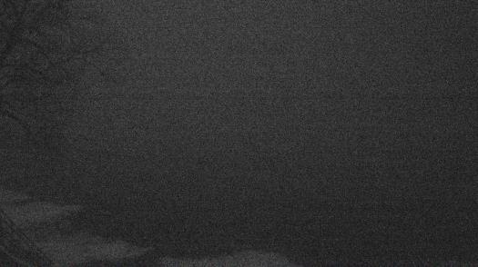 Weather camera view of Forest Lawn Beach.