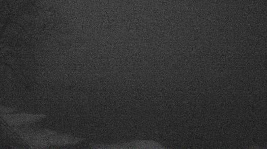 Weather camera view of Forest Lawn Beach.