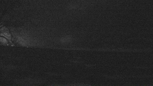 Weather camera view of Forest Lawn Beach.
