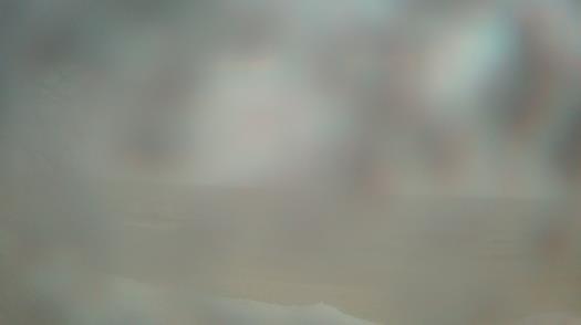 Weather camera view of Forest Lawn Beach.