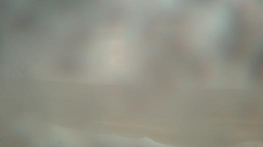 Weather camera view of Forest Lawn Beach.