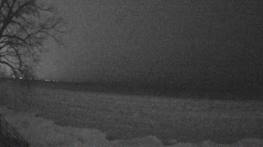 Weather camera view of Forest Lawn Beach.