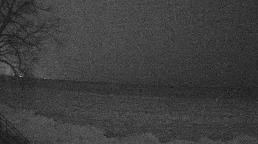 Weather camera view of Forest Lawn Beach.