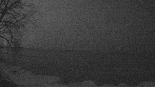 Weather camera view of Forest Lawn Beach.